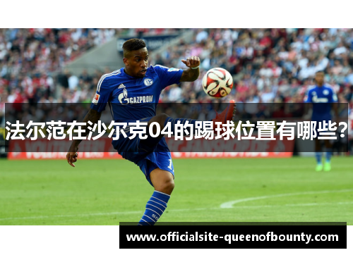 法尔范在沙尔克04的踢球位置有哪些？