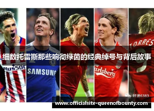 细数托雷斯那些响彻绿茵的经典绰号与背后故事